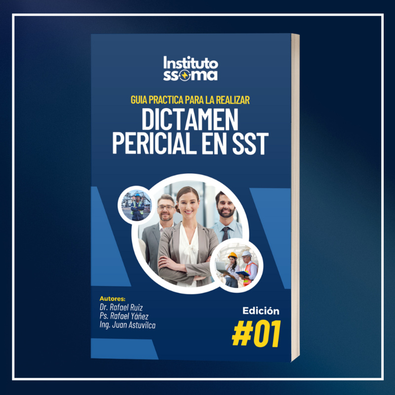 Dictamen Pericial en Seguridad y Salud en el Trabajo